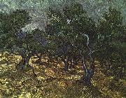 The Olive Grove Vincent Van Gogh
